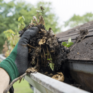 gutter cleaning in Indianapolis, IN