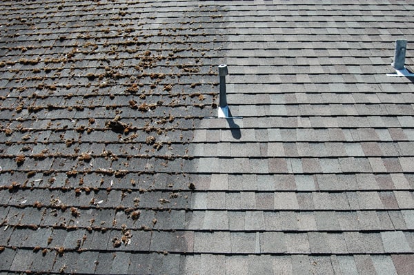 Indianapolis, IN Roof Cleaning Company