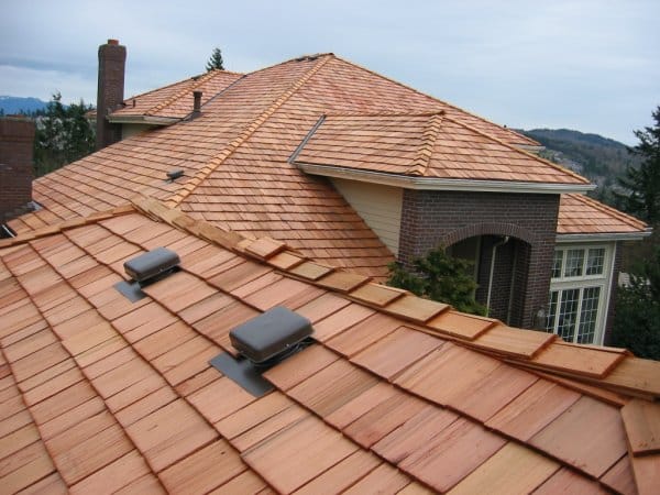 Roof Cleaning