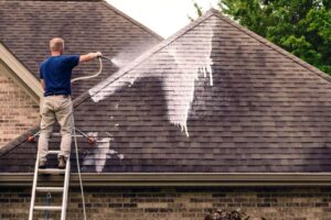 Roof Cleaning Company in Columbus, IN