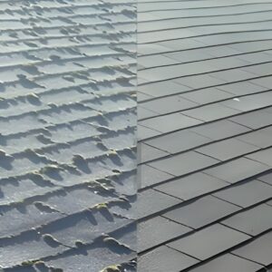 asphalt roof cleaning