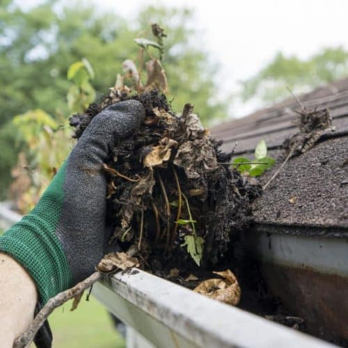 Gutter Washing in Indianapolis, IN